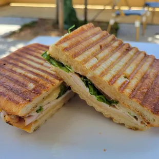 Garlic Turkey Panini