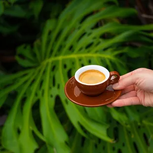 a person holding a cup of coffee