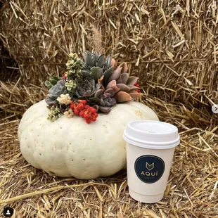 a cup of coffee next to a pumpkin
