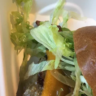 Aspen Burger