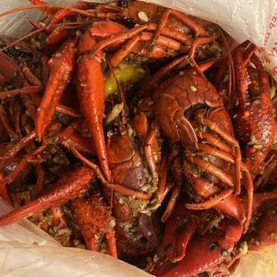 Fresh crawfish