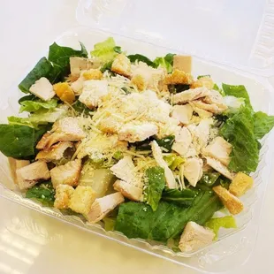 Chicken Caesar Salad