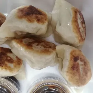 Pan Fried Dumplings