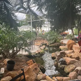 Sit down a spell and watch the koi fish while you eat.