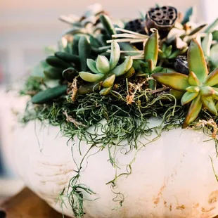 Our talented team creates one-of-a-kind arrangements that make perfect gifts.