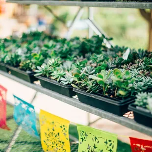Did you know if you enjoy a meal in The Cafe, you automatically get 10% off one item in The Gardens?