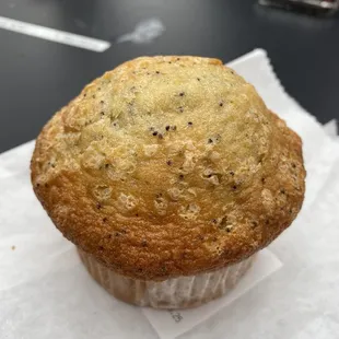 Poppyseed Muffin