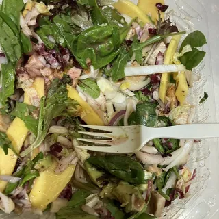 Tri-Color Chicken Mango Salad