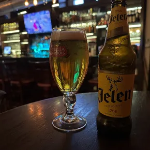 Jelen Pivo (Serbian Beer).