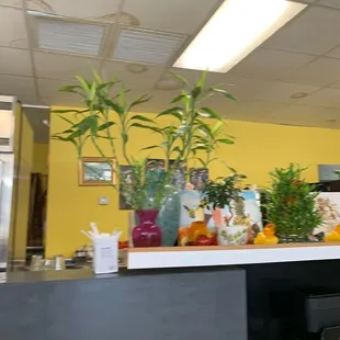 a counter with plants on it