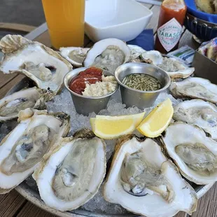 Gulf Oysters