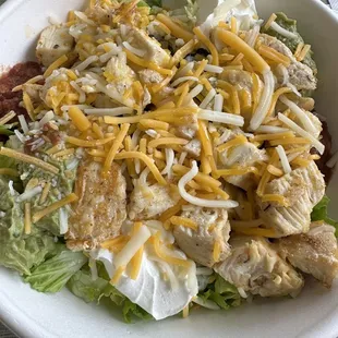 Fiesta Bowl with mix (lettuce and rice), chicken (or you can choose fish), and the works.