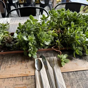 Clean outdoor seating! I love the live plants.