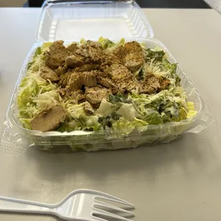 Grilled Chicken Cesar Salad