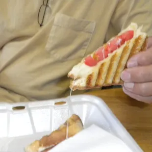 Cheese melt with tomatoes