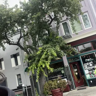 Store front- don't miss it!