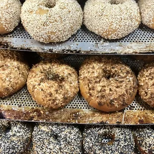 Homemade Bagels Daily!