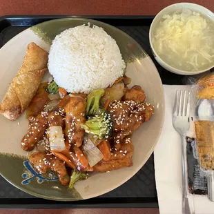 a plate of chinese food