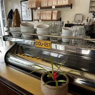 a coffee machine and a potted plant