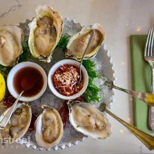 East-coast Oysters