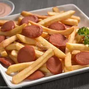 a plate of french fries and a hot dog