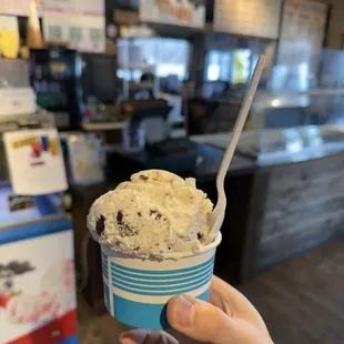Cookies and cream ice cream