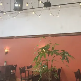 Dinner room