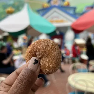a hand holding a sugared donut