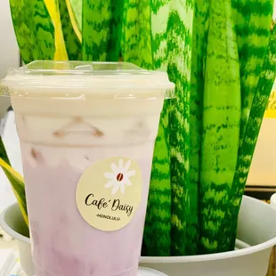 16oz Iced Ube Cheesecake Latte with Oatmilk
