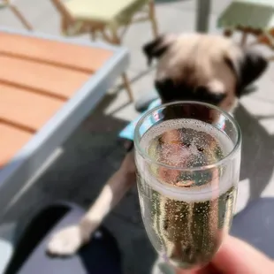 nous avons apprécié une belle expérience culinaire française