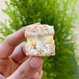 Cross-section of the Bite Size Vanilla Dacquoise Sandwich