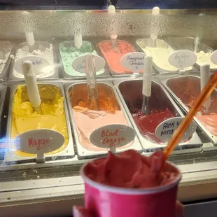 Pomegranate chocolate gelato