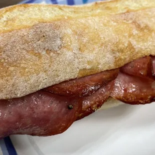 Mushroom Truffle Salame Panino