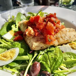 Pan Seared Snapper Niçoise Salad