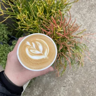 Traditional cappuccino