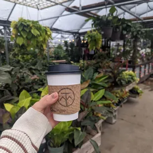 Pollinator Lavender Latte