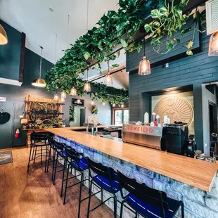 a bar with plants hanging from the ceiling