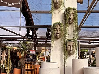 Café Equinox - Overland Park