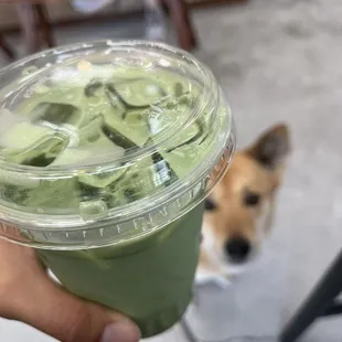 Matcha Latte