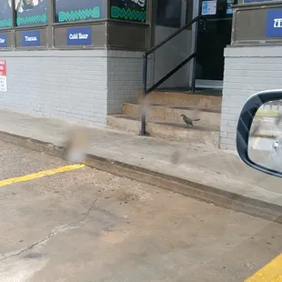 Not the only one waiting for them to open!