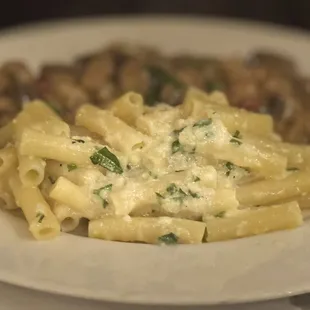 Penne Pasta