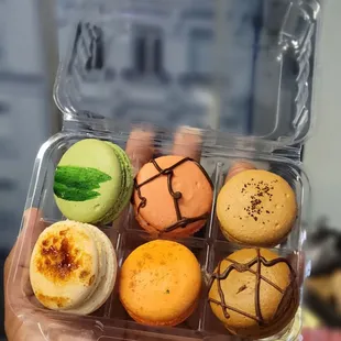 a hand holding a container of macarons