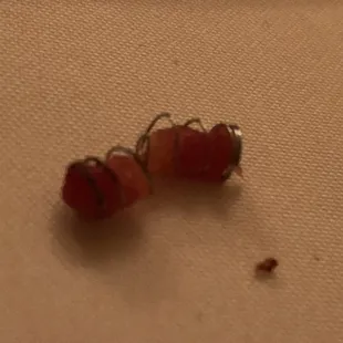 The spring in my pasta dish!  I didn't order "Pasta Primavera."