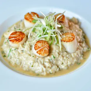 Seared "Hokkaido" Scallop Risotto