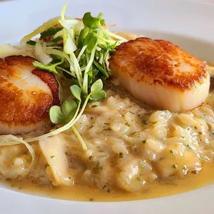 Seared Scallops