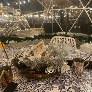 Inside View of the winter domes! Lights were so pretty