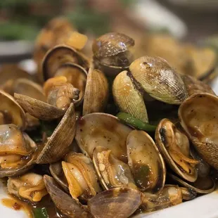 clam with black beam sauce