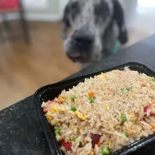 BBQ Pork Fried Rice - $14. Adonis wanted some soooo badly!