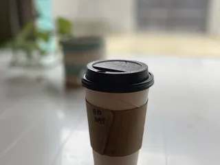 The Fern