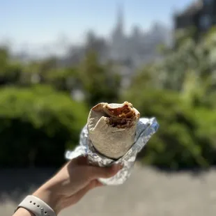 a hand holding a burrito